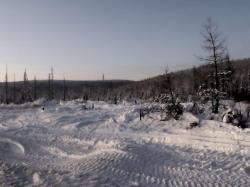 blogentry-1697-0-75199500-1296036892_thu