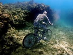 post-1724-0-16953400-1294587358_thumb.jp