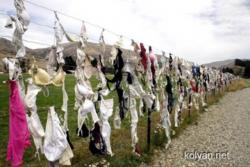 post-1724-0-57093000-1294321843_thumb.jp