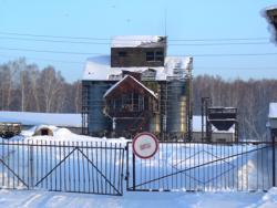 post-1788-0-31830000-1295175142_thumb.jp