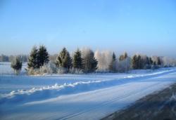 post-1788-0-40363400-1295174822_thumb.jp