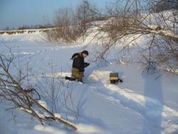 post-1788-0-44754700-1295174983_thumb.jp