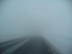 post-1788-0-64870000-1295175177_thumb.jp