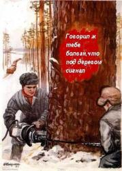 post-2293-0-66112400-1294319500_thumb.jp