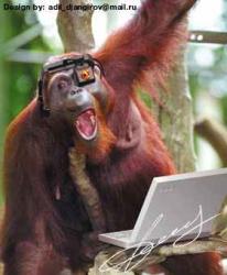 post-2801-0-98831100-1294341364_thumb.jp