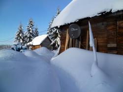 post-2838-0-66150100-1296378445_thumb.jp