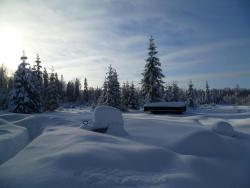 post-2838-0-77969200-1296378355_thumb.jp