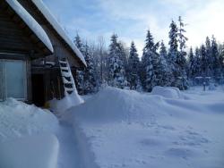 post-2838-0-79013800-1296378275_thumb.jp