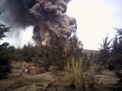 post-2917-0-02317900-1294450067_thumb.jp