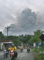 post-2917-0-07165400-1294380262_thumb.jp