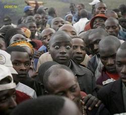 post-2917-0-13325200-1294312742_thumb.jp