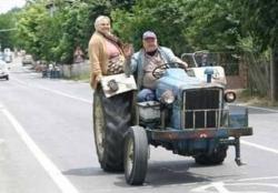 post-2917-0-18825500-1294586013_thumb.jp