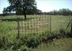 post-2917-0-23244400-1294321105_thumb.jp