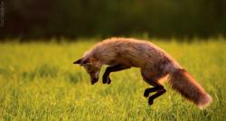 post-2917-0-32216200-1294314629_thumb.jp