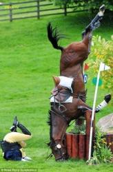 post-2917-0-44659000-1294443188_thumb.jp