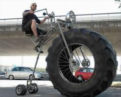 post-2917-0-46913200-1294325966_thumb.jp