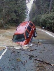 post-2917-0-55324900-1294314836_thumb.jp