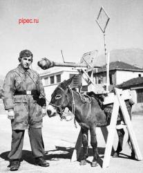 post-2917-0-67840100-1294342565_thumb.jp