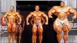 post-2917-0-74593900-1294488359_thumb.jp