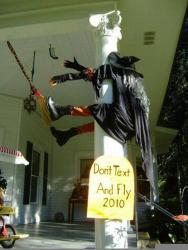 post-2917-0-86787600-1294501041_thumb.jp