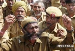 post-2917-0-92852800-1294318504_thumb.jp