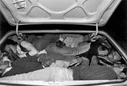 post-2917-0-93328200-1294319227_thumb.jp