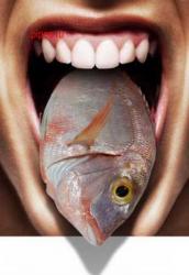 post-2917-0-96212200-1294343851_thumb.jp