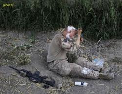 post-2917-0-99091400-1294586671_thumb.jp