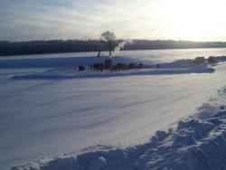 post-4269-0-72763900-1295455880_thumb.jp