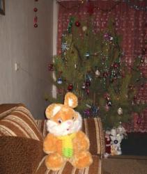 post-4485-0-82899700-1293960888_thumb.jp