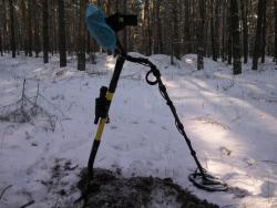 post-4855-0-03062300-1295460484_thumb.jp