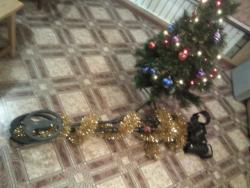 post-4855-0-05950600-1293872466_thumb.jp