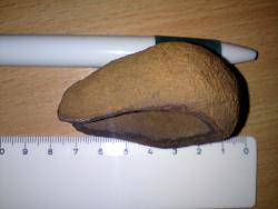 post-5486-0-24778800-1295736767_thumb.jp