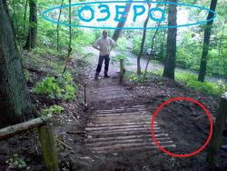 post-5486-0-66606000-1295784274_thumb.jp