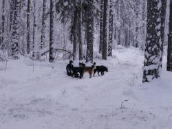 post-1697-0-10505300-1326425238_thumb.jp