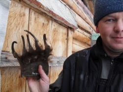 post-1697-0-24685400-1326425609_thumb.jp