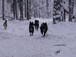 post-1697-0-34237100-1326425369_thumb.jp