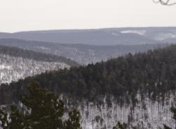 post-1697-0-41502100-1326475554_thumb.jp