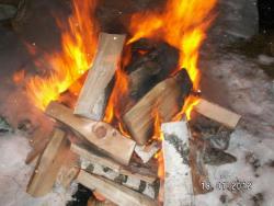 post-2293-0-59842500-1327504086_thumb.jp