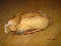 post-2511-0-11153000-1326036035_thumb.jp