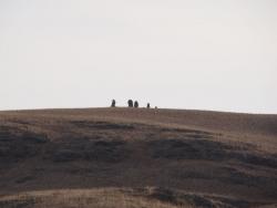 post-3282-0-46330700-1326537978_thumb.jp