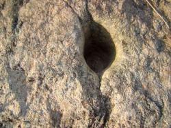 post-3282-0-59312100-1326209032_thumb.jp