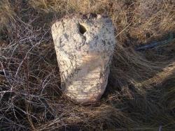 post-3282-0-64180600-1326209024_thumb.jp