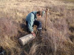 post-3282-0-77971400-1326209054_thumb.jp