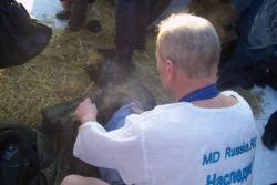 post-4269-0-11806700-1326987184_thumb.jp