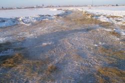 post-4269-0-37006200-1326296341_thumb.jp