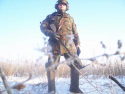 post-4269-0-55063200-1326296469_thumb.jp