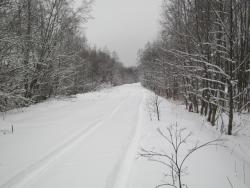 post-5580-0-32699200-1325694774_thumb.jp