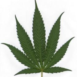 post-6107-0-14967400-1325863074_thumb.jp