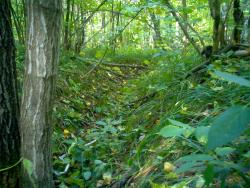 post-6726-0-08079500-1326265649_thumb.jp